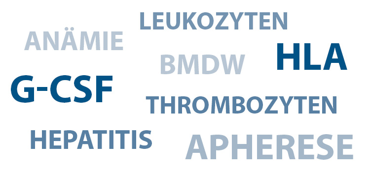 Auflistung verschiedener Fachbegriffe rund um das Thema Stammzellspende und Knochenmarkspende