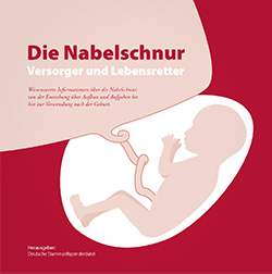 Broschüre: Die Nabelschnur