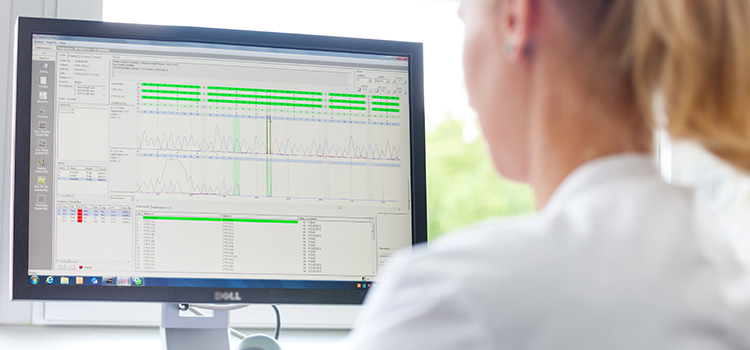 Mitarbeiterin  der Deutschen Stammzellspenderdatei vergleicht mit einem Matching-Programm am PC die HLA-Merkmale von Spendern und Patienten