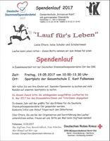 Thumb spendenlauf plakat