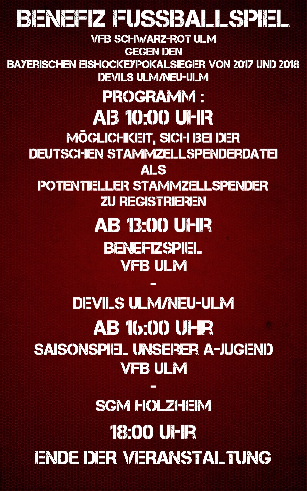 Vfb ulm flyer hinten