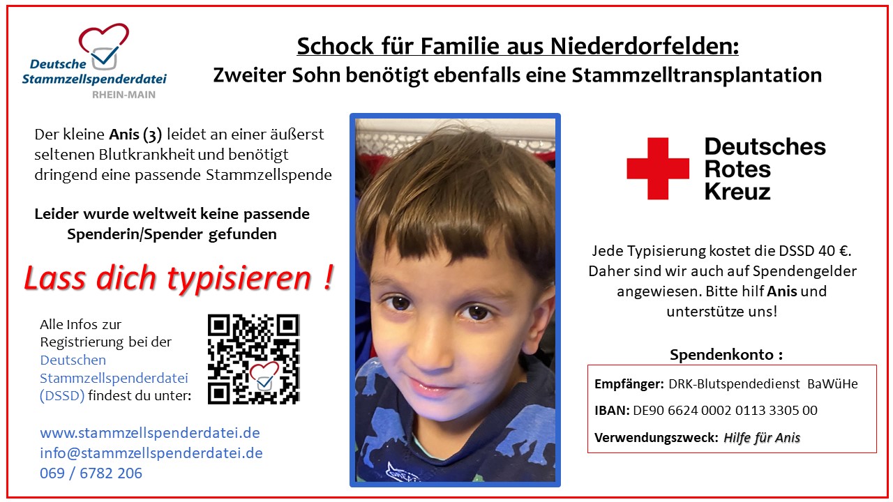 Flyer anis