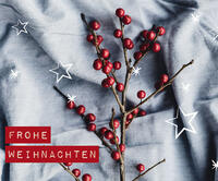 Thumb weihnachten 2024 homepage